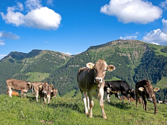 Ihr Sporthotel im Allgäu: Allgäu Sonne