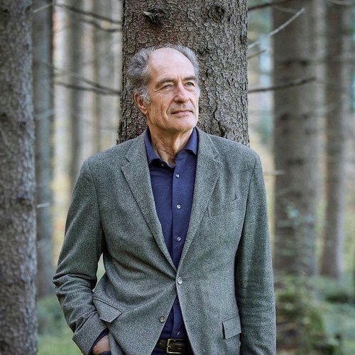 Älterer Mann lehnt im Wald an einem Baum mit Hände in den Taschen