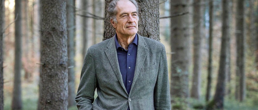 Älterer Mann lehnt im Wald an einem Baum mit Hände in den Taschen