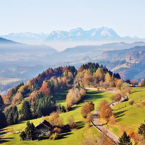 Herbstliche Landschaft mit Hügeln, Wald, Straße und Bergen im Hintergrund