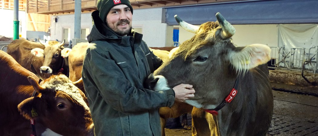 Mann in warmer Kleidung streichelt eine Kuh in einem Stall
