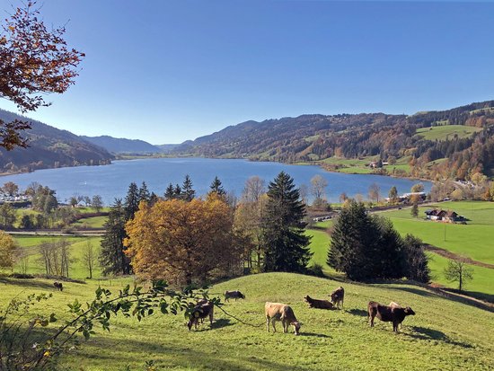 Die Tipps aus dem Wanderhotel im Allgäu