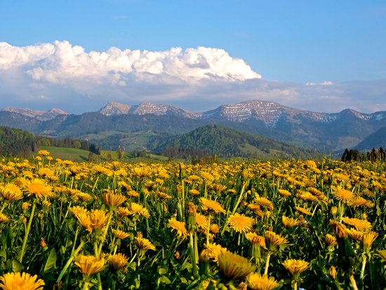 Your sports hotel in Allgäu: Allgäu Sonne