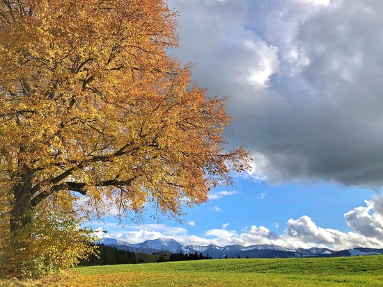 Your sports hotel in Allgäu: Allgäu Sonne