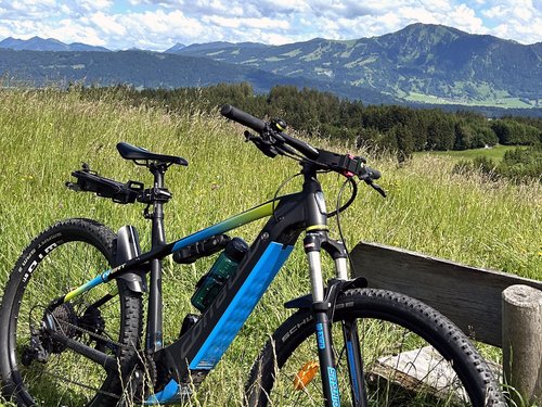 Elektrisches Mountainbike auf einer Wiese mit Bergen im Hintergrund