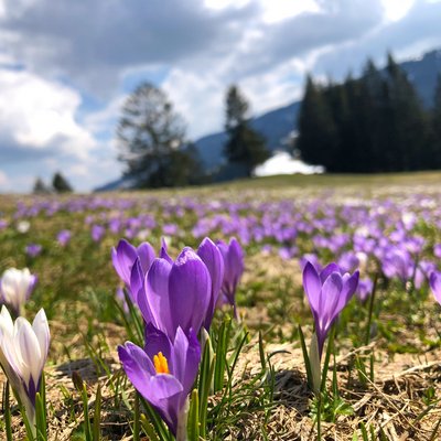 Jetzt entdecken: Hotel mit Schwimmbad im Allgäu