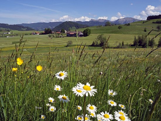 Your sports hotel in Allgäu: Allgäu Sonne