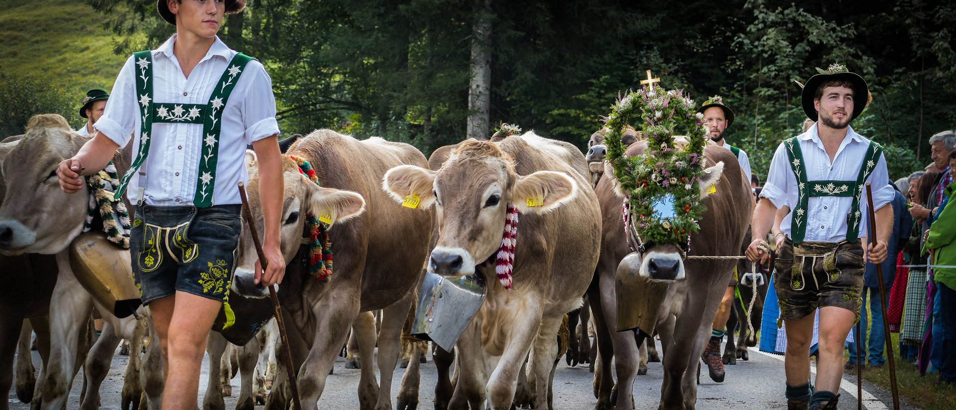 Viehscheid in Oberstaufen: Infos und Termine