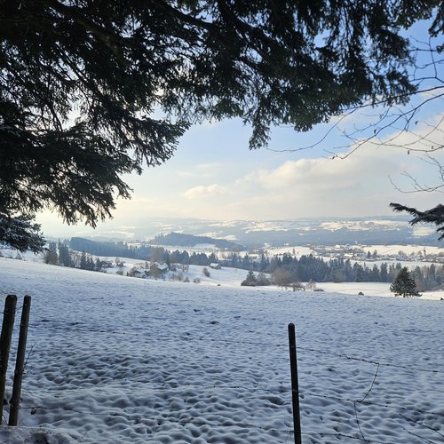 Die Tipps aus dem Wanderhotel im Allgäu Schneebedeckte Winterlandschaft mit Bäumen, Zaun und weiter Sicht auf Hügel