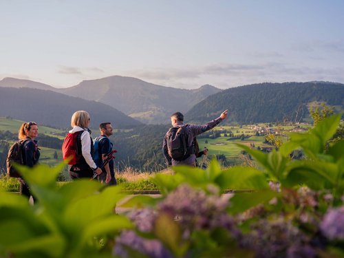Four hikers with backpacks looking at green mountains and valley at sunset