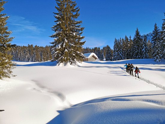 Your sports hotel in Allgäu: Allgäu Sonne