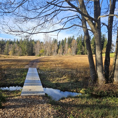 Holzsteg über kleinen Bach in herbstlicher Wiesenlandschaft bei blauem Himmel