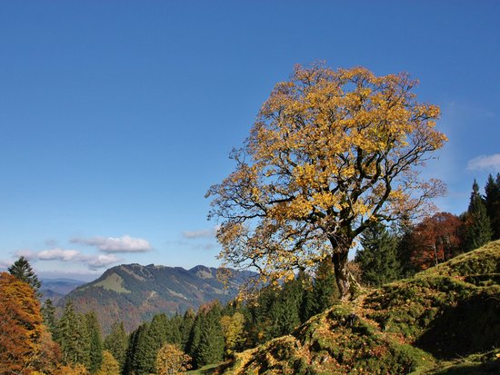 Ihr Sporthotel im Allgäu: Allgäu Sonne