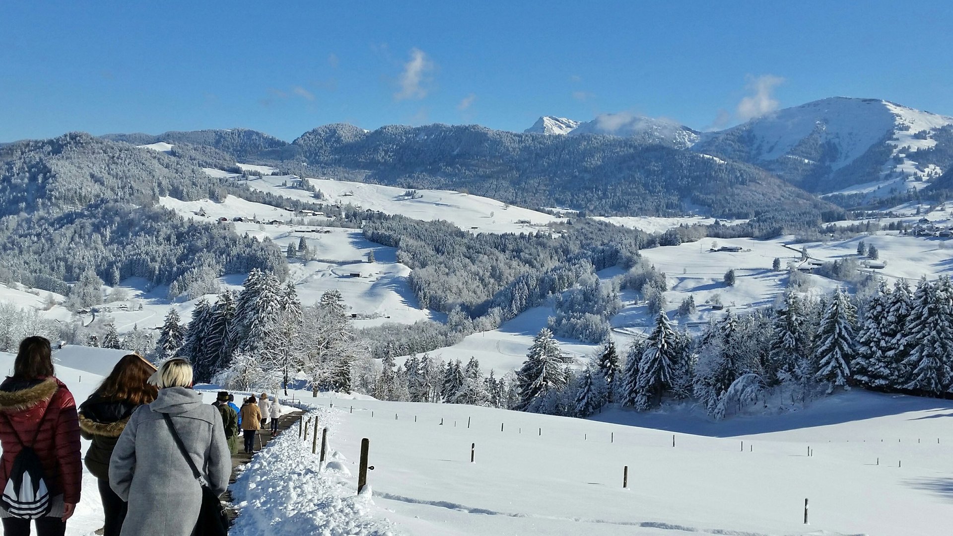 Guided winter hike