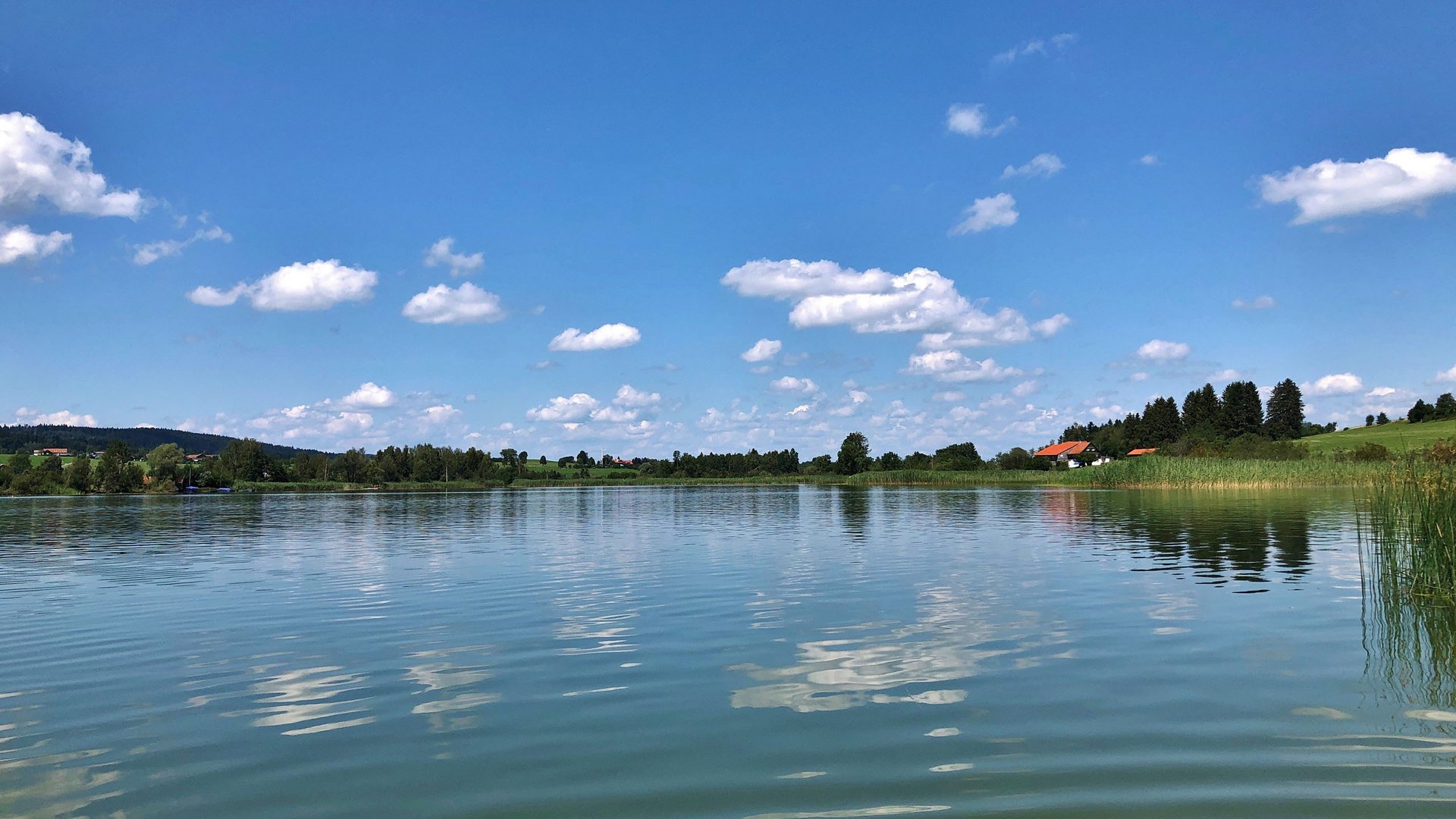 Niedersonthofer See