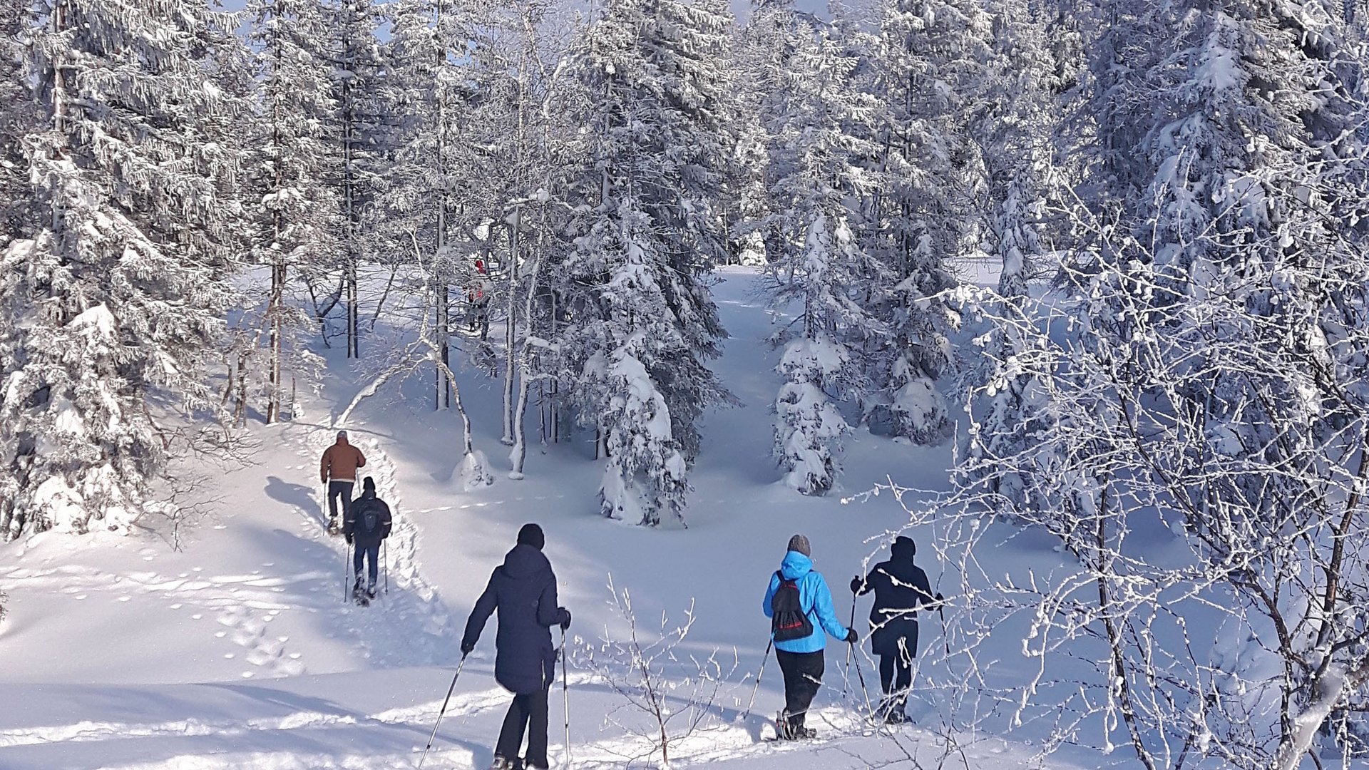 Guided snowshoe hike