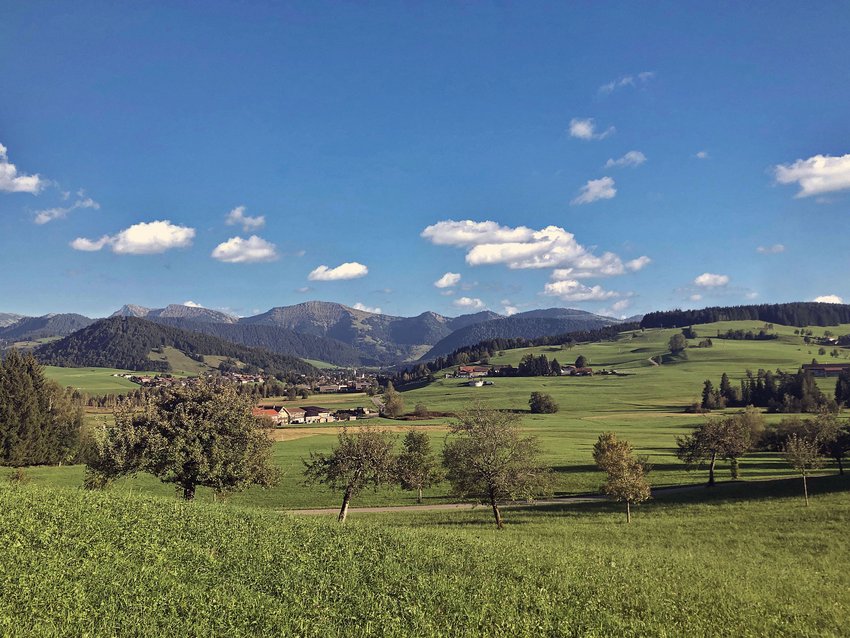 Grüne Wiesen mit Bäumen, Bauernhöfen und Bergen unter blauem Himmel