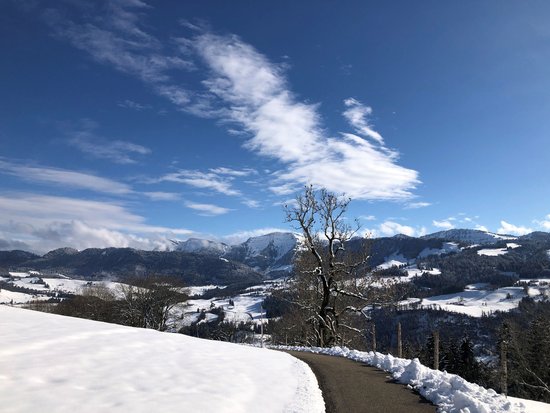 Unsere Tipps: Schloss Neuschwanstein, Breitachklamm u. v. m.