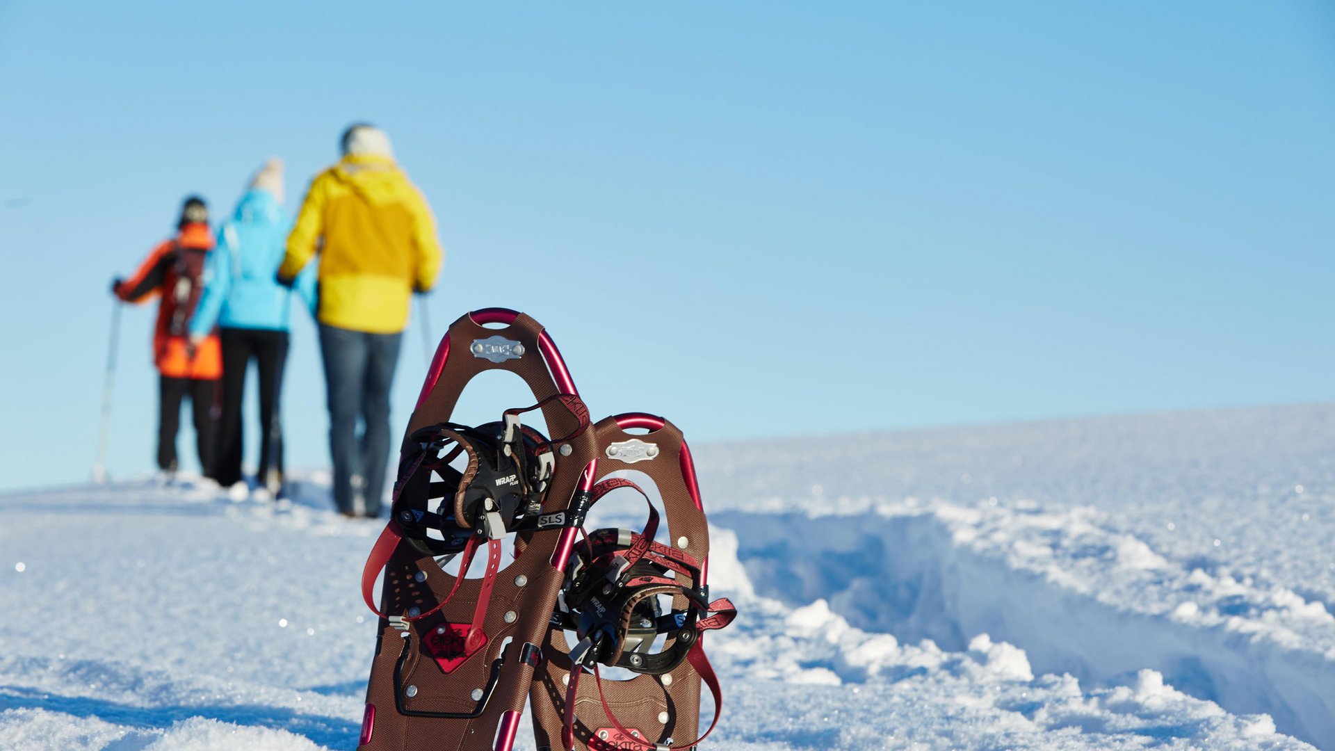 Schneeschuhwanderung